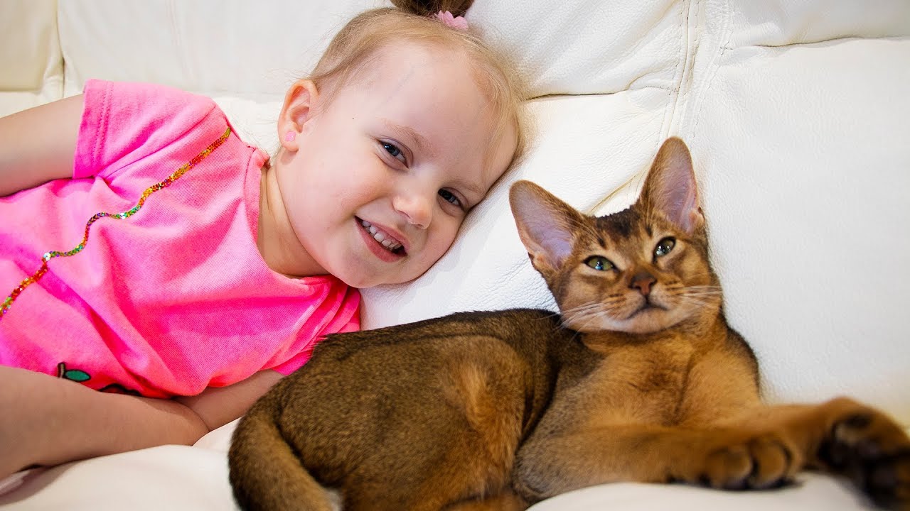 Gaby and Alex playing with funny cute kitten. Our new family pet
