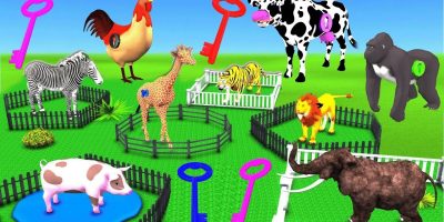 Learn Wild Animals Supermarket Shopping Cart Toys For Kids | Animals Cartoon For Kids Nursery Rhymes