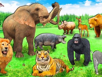 Funny Baby Play With Zoo Animals in The Playground Nursery Rhymes & Kids Songs