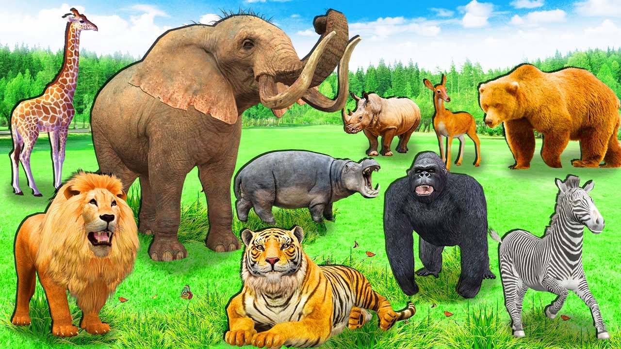 Funny Baby Play With Zoo Animals in The Playground Nursery Rhymes & Kids Songs