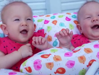 Johny Johnny Yes Baby Song and Dance for Children | Learn colors for kids