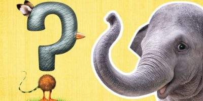 What Is It? | ANIMAL GUESSING GAME | Mother Goose Club Back to School