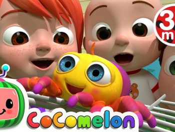 Itsy Bitsy Spider | +More Nursery Rhymes – Cocomelon (ABCkidTV)
