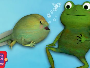 Frog Song (Life Cycle of a Frog) | Cocomelon (ABCkidTV) Nursery Rhymes & Kids Songs