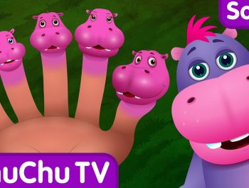 Finger Family Hippo | ChuChu TV Animal Finger Family Nursery Rhymes Songs For Children