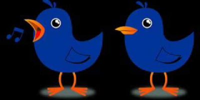 Sweety & Fluffy Bird  Twinkle Twinkle Ringtone