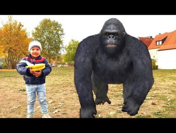 Kids and Monkey Johnny Johnny Baby Songs, Music Songs Johny Johny Yes Papa