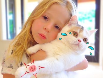 Stacy and the best cat stories for kids