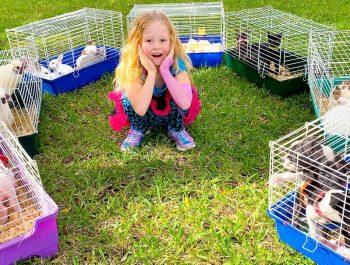 Stacy has a home zoo