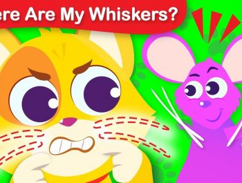 Where Are My Whiskers? Can you Help Tom the Cat Find His Whiskers | Fun Animal Song by Little Angel