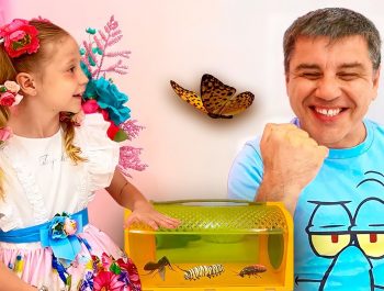 Nastya learn insects with her dad. Educational and useful video for children