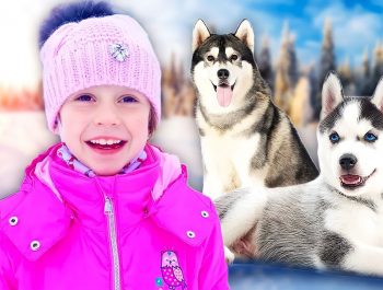 Nastya and Family drive-thru Christmas trip. Story for kids