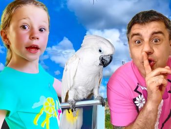 Nastya and dad try to care animals. Stories for kids