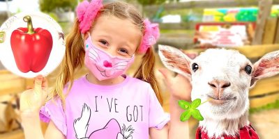 Nastya and Dad pick vegetables in the garden